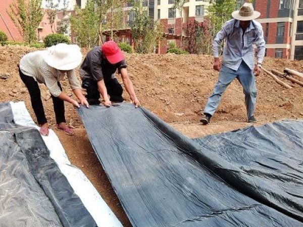覆膜型膨潤(rùn)土防水毯