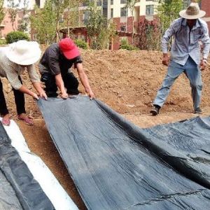 覆膜型膨潤土防水毯