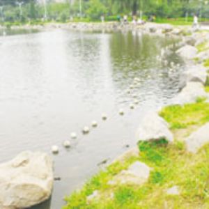 塑料盲溝